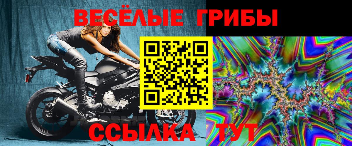 Псилоцибиновые грибы MAGIC MUSHROOMS  Галлюциногенные грибы Psilocybine cubensis  Красноперекопск  Вход с VPN 